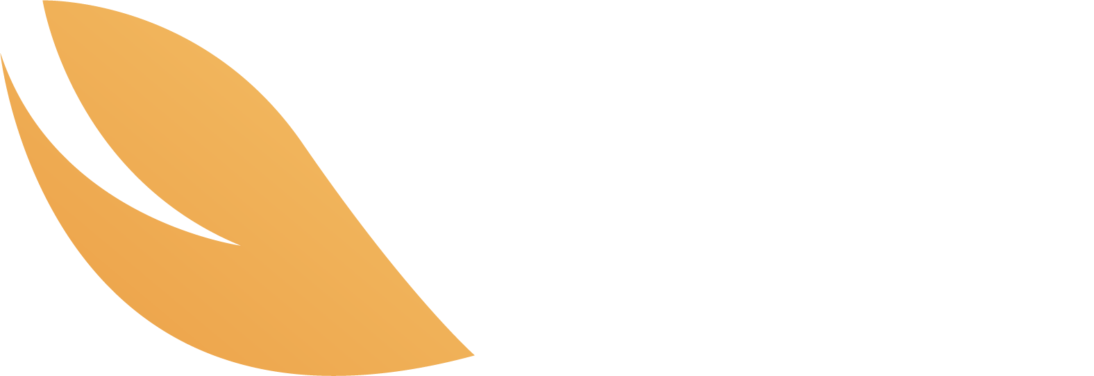 ANDI